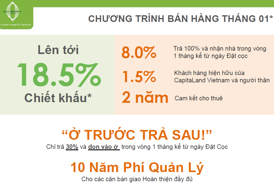 chuong-trinh-mulberry-lane