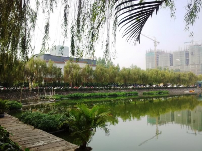 chung-cu-new-skyline-van-quan-ha-dong-13